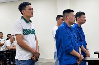 Chủ hiệu cầm đồ và nhóm lừa đảo vay tiền tỷ cùng lĩnh án