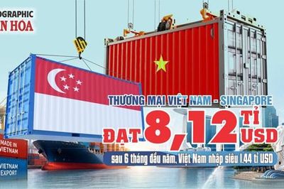 Thương mại Việt Nam - Singapore đạt 8,12 tỉ USD sau 6 tháng đầu năm, nhập siêu 1,44 tỉ USD