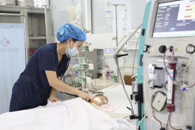 Bé trai 15 tháng tuổi suy đa tạng, sốc nhiễm độc vì 60 vết ong vò vẽ đốt