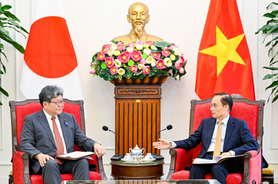Đẩy mạnh quan hệ hợp tác giữa Đảng Cộng sản Việt Nam và Đảng Dân chủ Tự do Nhật Bản
