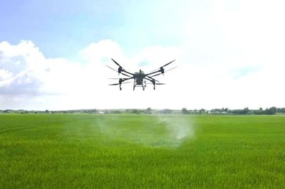Khi nông dân điều khiển mùa vụ bằng điện thoại