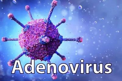 Bộ Y tế cảnh báo khẩn trước việc gia tăng bệnh do virus Adeno và đau mắt đỏ