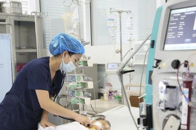 Cứu sống bé trai 15 tháng tuổi bị ong vò vẽ đốt 60 nốt, suy đa cơ quan