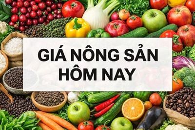 Giá nông sản hôm nay 21/7/2026: Giá cà phê kéo dài đà tăng, nguồn cung Brazil có thể không như dự báo; Thương mại Mỹ-Trung Quốc phục hồi