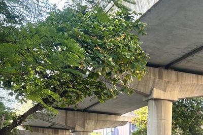 Thời tiết ngày 21/7: Bắc Bộ, Trung Bộ nắng nóng