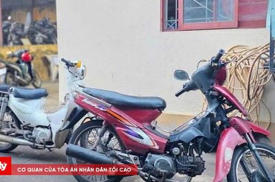 Công an bắt giữ đối tượng trộm cắp tài sản sau khi nắm thông tin qua mạng