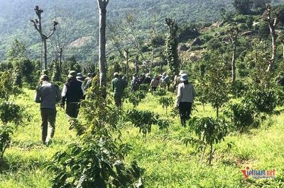 Huy động hàng trăm người và chó nghiệp vụ tìm kiếm thiếu niên 15 tuổi mất tích