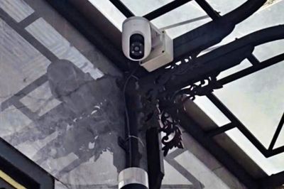 Lắp camera chăm mẹ, con gái phát hiện bà rút phích cắm, nói lời đau lòng
