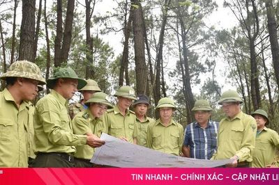 Giữ rừng phía nam Hà Tĩnh trong mùa nắng nóng
