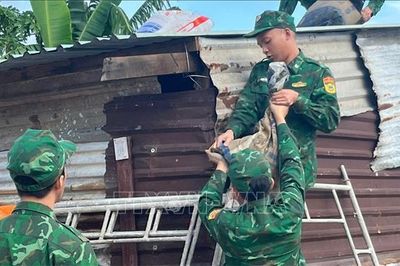 Gia Lai yêu cầu khẩn trương triển khai phương án ứng phó thiên tai năm 2026