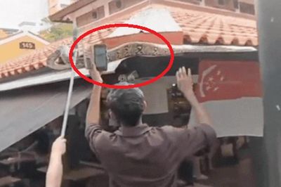 Đang uống cà phê, người dân phát hiện cảnh tượng 'nổi da gà' trên mái nhà