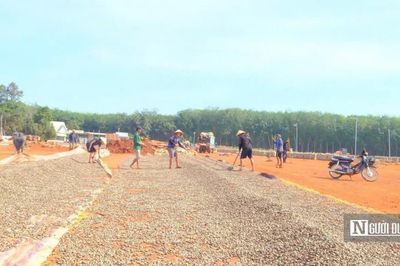 Hạt điều Việt và cuộc chuyển mình khỏi 'lời nguyền gia công' - Kỳ 2: Ai hưởng lợi lớn nhất?