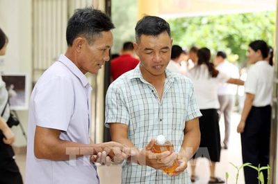Gây dựng thương hiệu mật ong từ cánh rừng ngập mặn