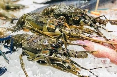 Xuất khẩu thủy sản khởi sắc, thị trường Trung Quốc tăng gần 39%