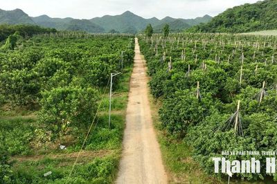Đòn bẩy cho nông nghiệp hiện đại