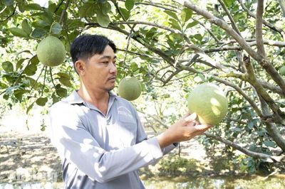 Vĩnh An đổi thay