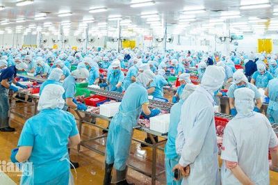 Khu công nghiệp bước vào chu kỳ phát triển mới