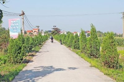 Bắc Ninh: Cải thiện tiêu chí môi trường trong xây dựng nông thôn mới