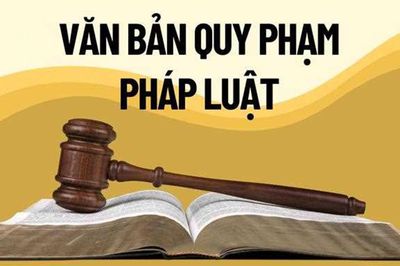 Kiểm tra, rà soát văn bản quy phạm pháp luật