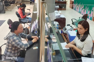 Doanh số cho vay chương trình tín dụng hỗ trợ tạo việc làm tại Đồng Nai đạt hơn 1,3 ngàn tỷ đồng