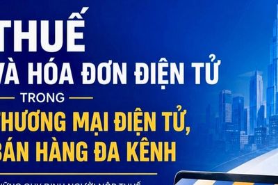 Ra mắt bộ tài liệu điện tử về thuế và hóa đơn điện tử trong thương mại điện tử