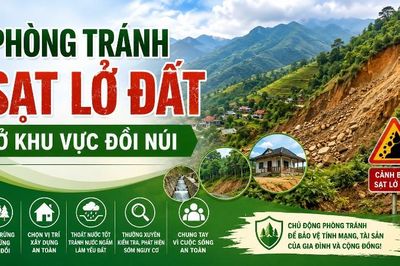 Phòng tránh sạt lở đất ở khu vực đồi núi