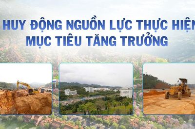 Huy động nguồn lực thực hiện mục tiêu tăng trưởng