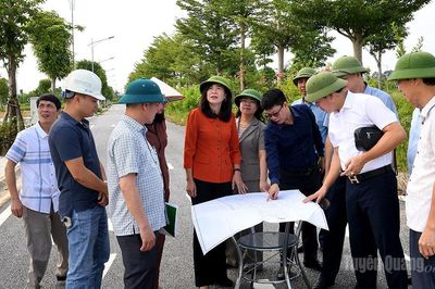 Thường trực HĐND tỉnh giám sát việc sử dụng đất dự án các địa phương