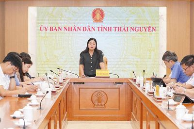 Đánh giá, đôn đốc tiến độ giải phóng mặt bằng Dự án đê Hữu Cầu