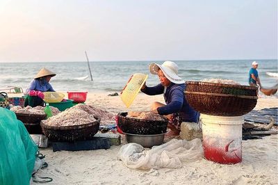 Lộc biển