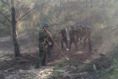 Gia Lai huy động gần 400 cán bộ, chiến sĩ khẩn trương dập cháy rừng dương