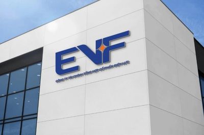 Lợi nhuận EVF tăng gần 17% trong nửa đầu năm 2026