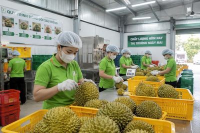 Doanh nghiệp nông nghiệp cần thêm động lực từ vốn và chính sách