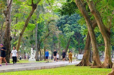 Công viên Thống Nhất: Mảng xanh điều hòa giữa lòng Thủ đô