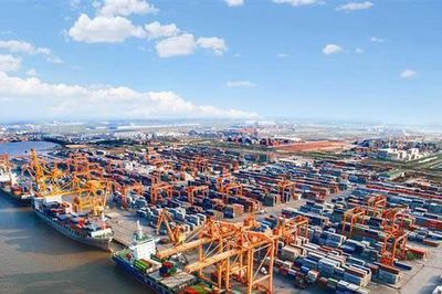 Cảng Đình Vũ (DVP): Lãi ròng quý II đạt đỉnh 3 năm, nắm giữ hơn 1.000 tỷ đồng tiền mặt