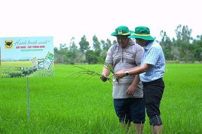Làm giàu nhờ đổi mới tư duy trên vùng đất phèn