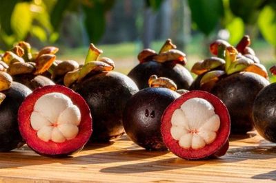 Tại sao nhiều khách sạn không cho mang quả măng cụt vào phòng?