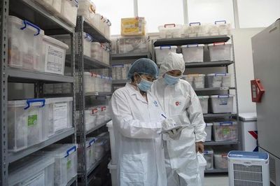 Mệnh lệnh trái tim! Bài 4: Khi ADN lên tiếng
