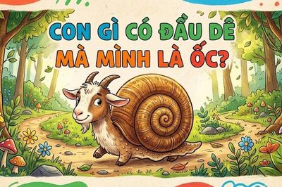 Con gì có đầu dê mà mình là ốc?