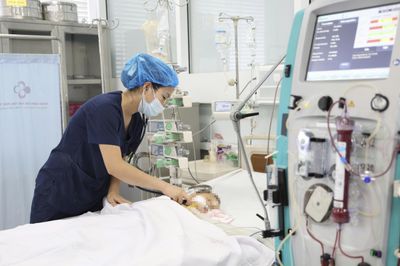 Bé trai 15 tháng tuổi nguy kịch sau khi bị ong vò vẽ đốt 60 nốt