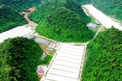 Bộ Nội vụ đề nghị khẩn trương làm rõ vụ tai nạn lao động làm 5 người tử vong tại Thanh Hóa