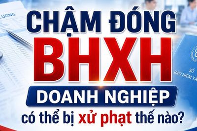 Chậm đóng BHXH, doanh nghiệp có thể bị xử phạt thế nào?