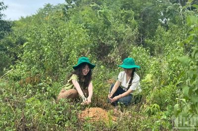 [Ảnh] Ra quân trồng cây mét, luồng tại Tam Thái, Nghệ An