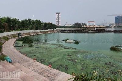 Hà Nội: Hồ điều hòa Công viên Ngọc Thụy bốc mùi, ô nhiễm kéo dài