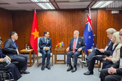 Bộ trưởng Ngoại giao Lê Hoài Trung gặp Phó Thủ tướng, Bộ trưởng Ngoại giao New Zealand Winston Peters