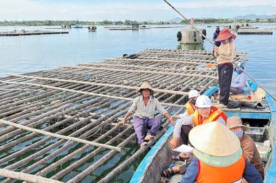 Đẩy nhanh tiến độ bàn giao mặt bằng Dự án khu neo đậu tránh trú bão An Hòa