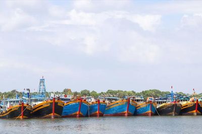 TPHCM đề xuất hỗ trợ 50 tỷ đồng thay thiết bị VMS cho tàu cá