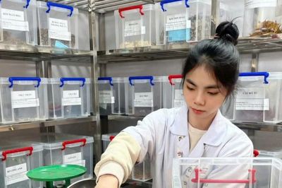 Rào cản khiến nghiên cứu từ trường đại học khó đi vào thực tiễn