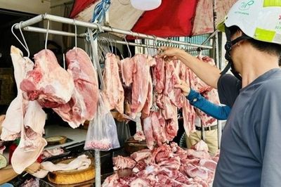 Giá heo hơi hôm nay 22/7: Giữ đà giảm nhẹ tại khu vực miền Bắc và miền Trung, miền Nam lặng sóng
