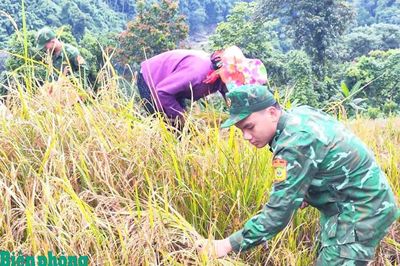 Đổi thay ở Mù Cả
